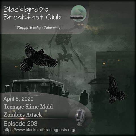 Teenage Slime Mold Zombies Attack - Blackbird9 Podcast