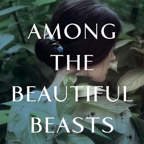 Among the Beautiful Beasts - Lori McMullen on Big Blend Radio