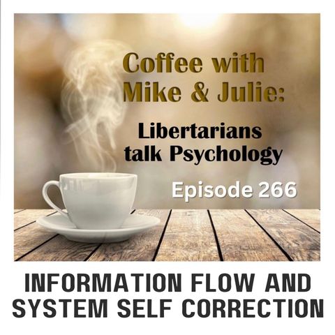 Information flow and System self correction (ep 266)