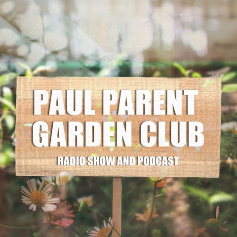 Ep. 9 - Drown Your Plants Now!