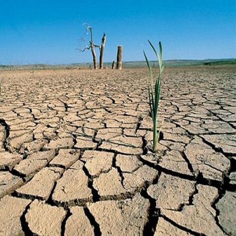 Pega sequía a más de 80 por ciento del país