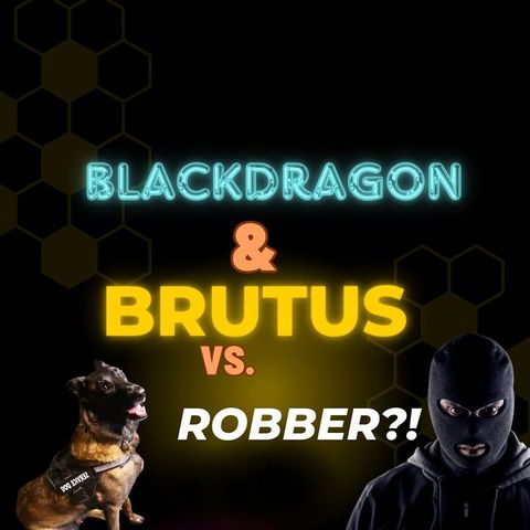 Black Dragon & Brutus Vs A Robber Last Night! Wow!