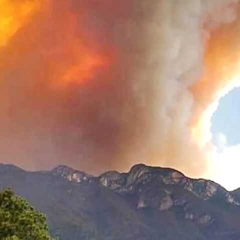 Incendios dañan más de cinco mil hectáreas en NL