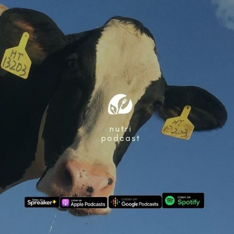 Ep.02 | Nutripodcast - Alimentazione sostenibile