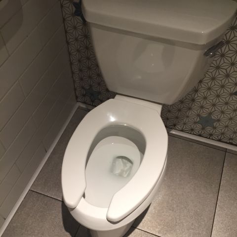 Toilet Bowl LV