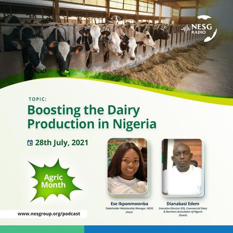 Boosting The Dairy Production In Nigeria