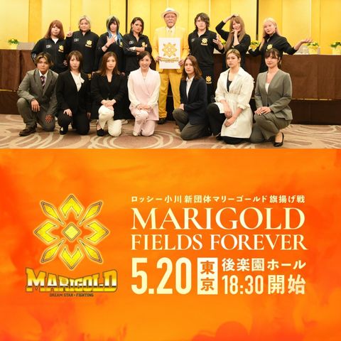 Our Assessment of MARIGOLD