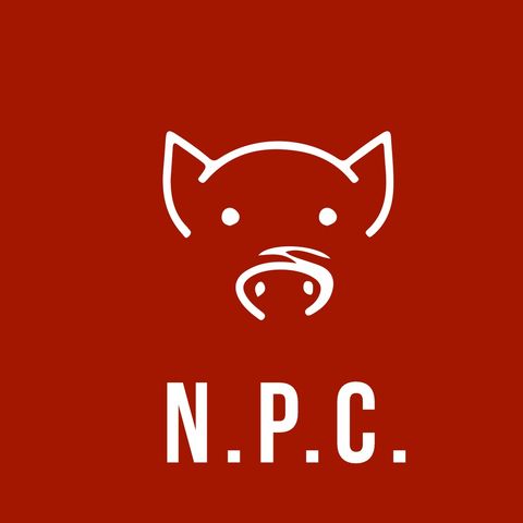 N.P.C. - Fuori programma