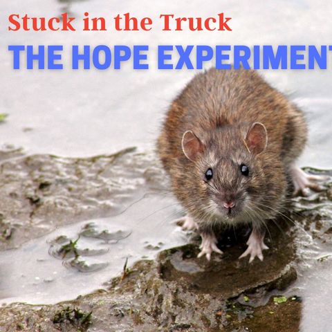 The hope Experiment ep 84 4-28-2021