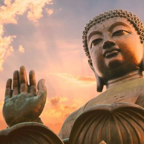 Peleas y retos. ¿Cuando debemos pelear y cuando debemos ser sabios? #Budismo #Sabiduria