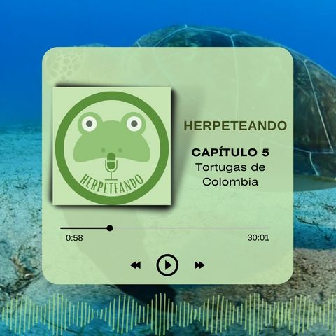 Capitulo 5 Tortugas