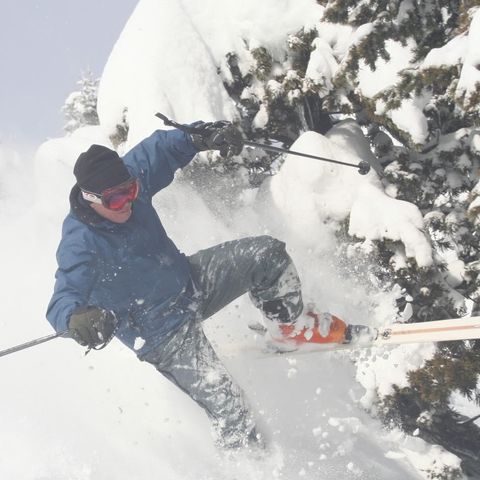 Hitting Trees While Skiing