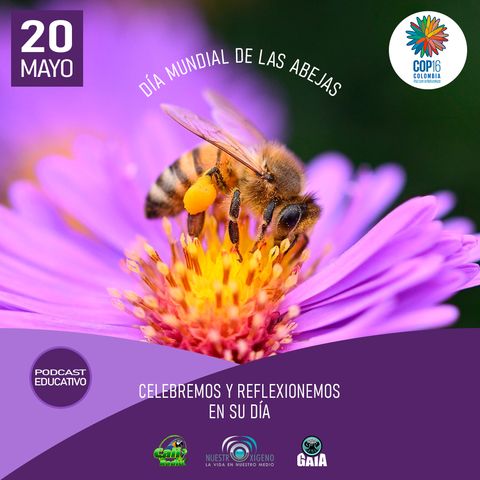 NUESTRO OXÍGENO Celebremos y reflexionemos en el día mundial de las abejas - Jean Sebastián Sánchez Ávila