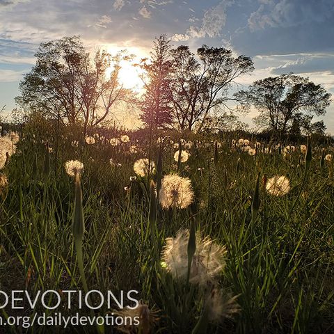 Believing Our Forgiveness