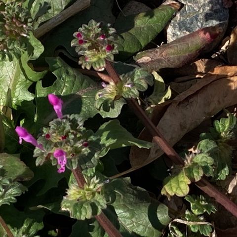 Letting Our Lives Unfold