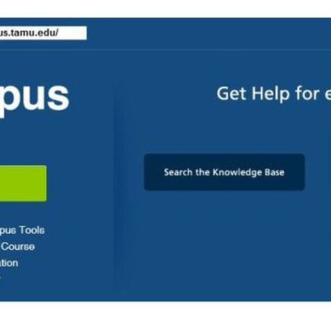 Texas A&M faculty members start testing new e-campus software options