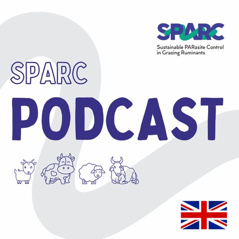 SPARC FEC check