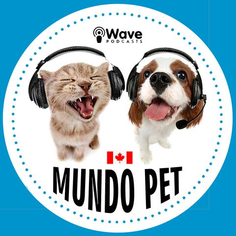 Ep. 02 - Proprietária de Pet Shop em Toronto [Juliana Saga]