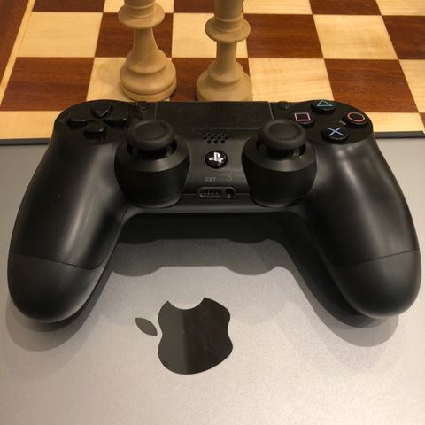 Is playing chess helping you in being a better programmer?