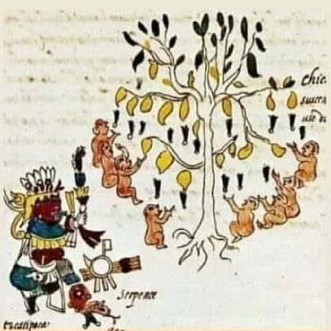 Chichihuacauhco