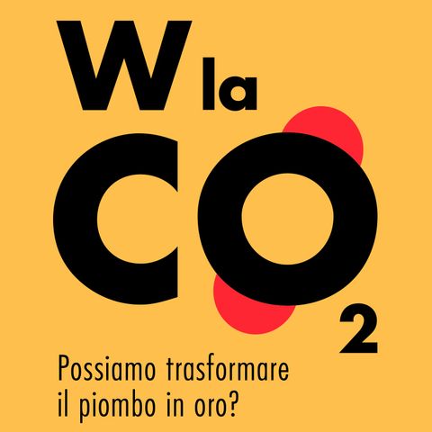 Gianfranco Pacchioni "W la CO2"