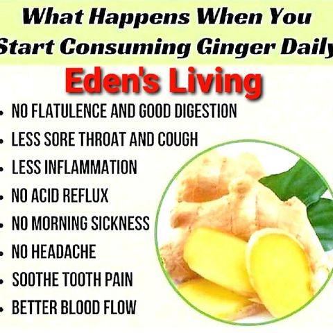What Happens When you CONSUME GINGER