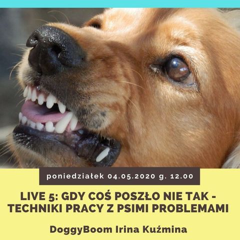 Live 5 DoggyBoom Gdy coś poszło nie tak-techniki pracy z psimi problemami