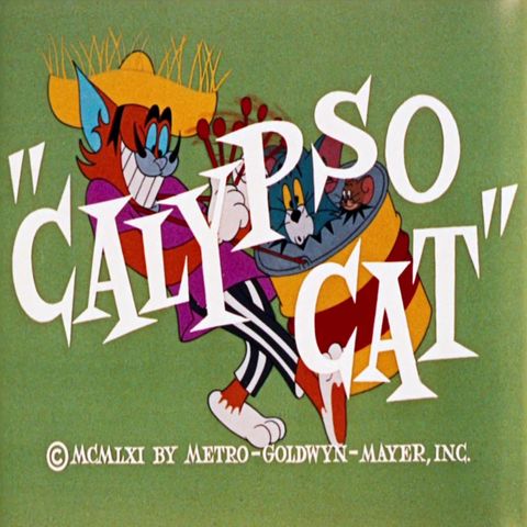 121. Calypso Cat