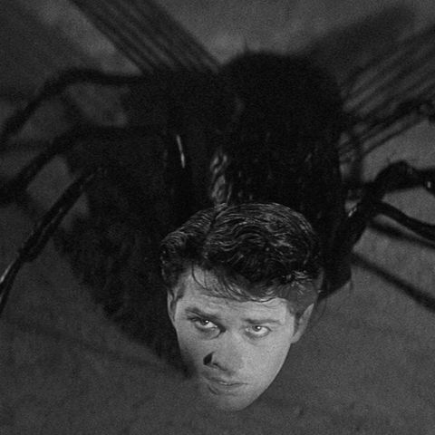 Return of the Fly (1959): Podcast/Discussion