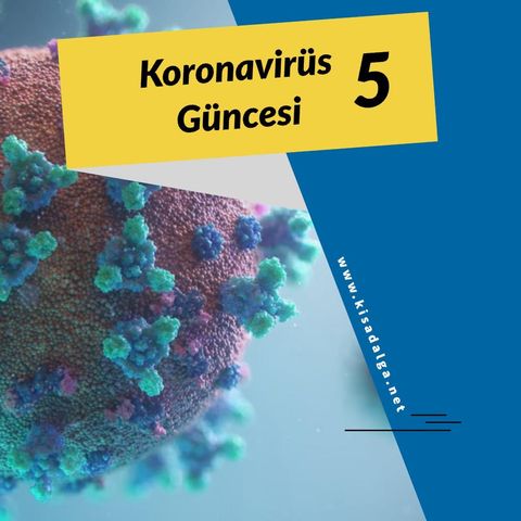 Koronavirüs Güncesi 5: Türkiye'nin virüsle savaşı