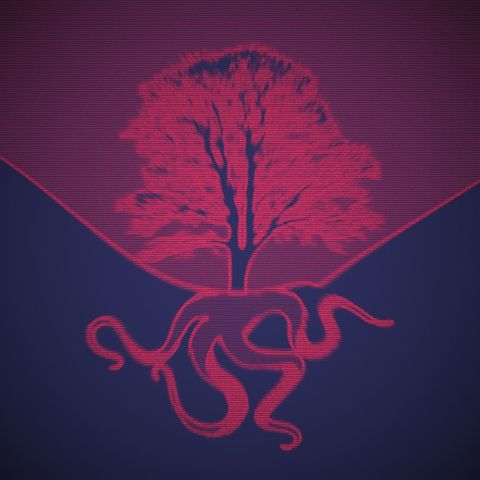 3.11 - Roots (Part 2)