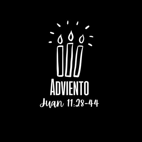 Juan 11:28-44