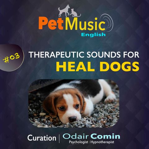 #03 Therapeutic Sounds for Healing Dogs | PetMusic