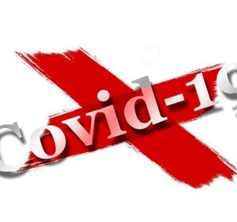 Florida Update and The Fauci/COVID-19 Dossier