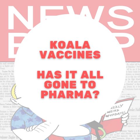 News Burp Short - Koala Vaccines - Has it all gone too Pharma?