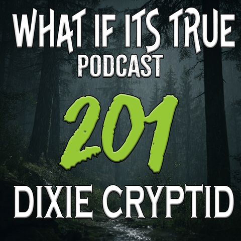 Archive 201 Bigfoot & Paranormal