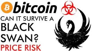 Bitcoin Can It Survive A Black Swan - Price Collapse Risk Explained