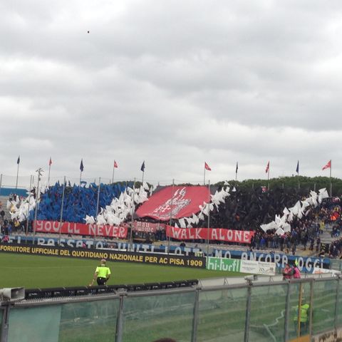 Pisa - Arezzo : 2-0 (7 febbr 2016)