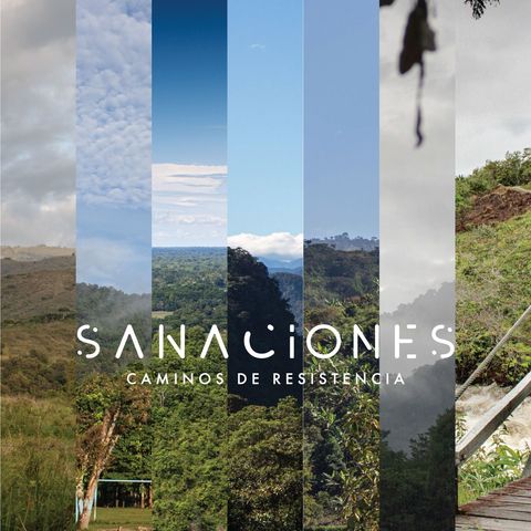 Panel 55 Sanaciones Pueblos Amazonas