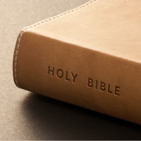 Bible draw study!