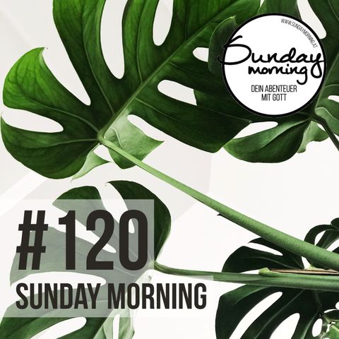 Daily Routines #2 - 9 Punkte für deinen Weg - Sunday Morning #120
