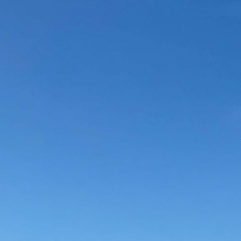 Beauty Is Everywhere