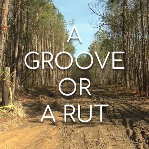 A Groove or A Rut? - Morning Manna #2852