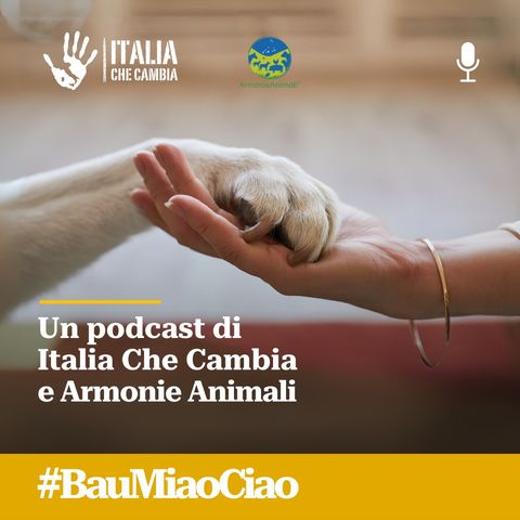 Copertina del podcast