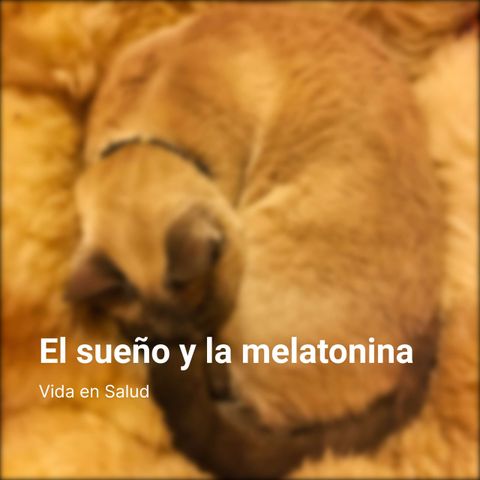 142. El sueño y la melatonina