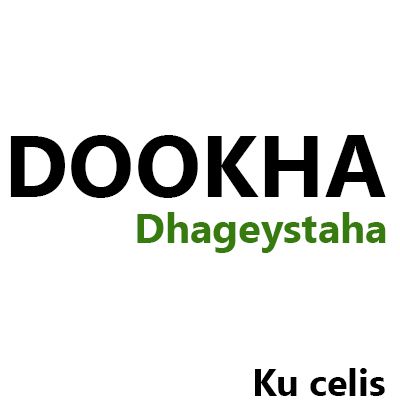 DOOKHA DHAGEYSATAHA- Ismail Shaketi