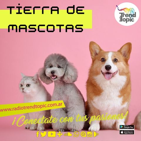 TIERRA DE MASCOTAS T1 E07: Salud de mascotas parte I