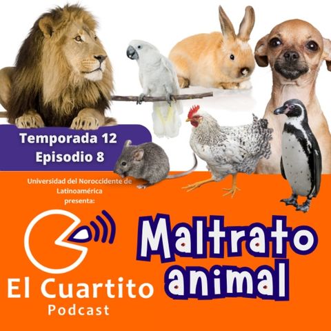 Maltrato animal