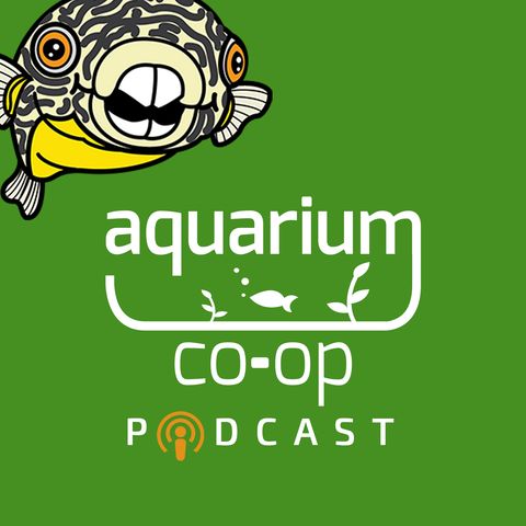 The Aquarium Co-Op Med Trio Questions Answered - Live Sundays 12pm PST/3PM EST