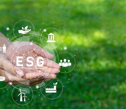 ¿Qué son y para que sirven los criterios ESG?